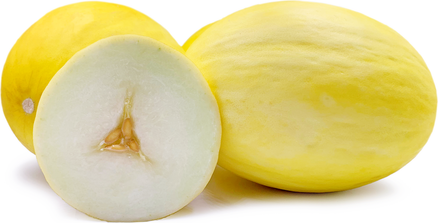 Golden Honeydew Melon Information and Facts