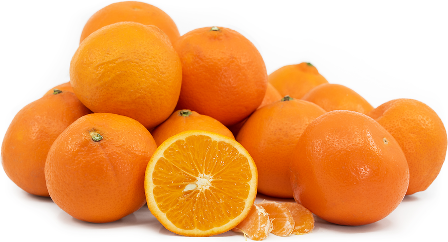 Export Chinese Fresh Sweet Mini Mandarin Orange - China Orange, Mandarin  Oranges