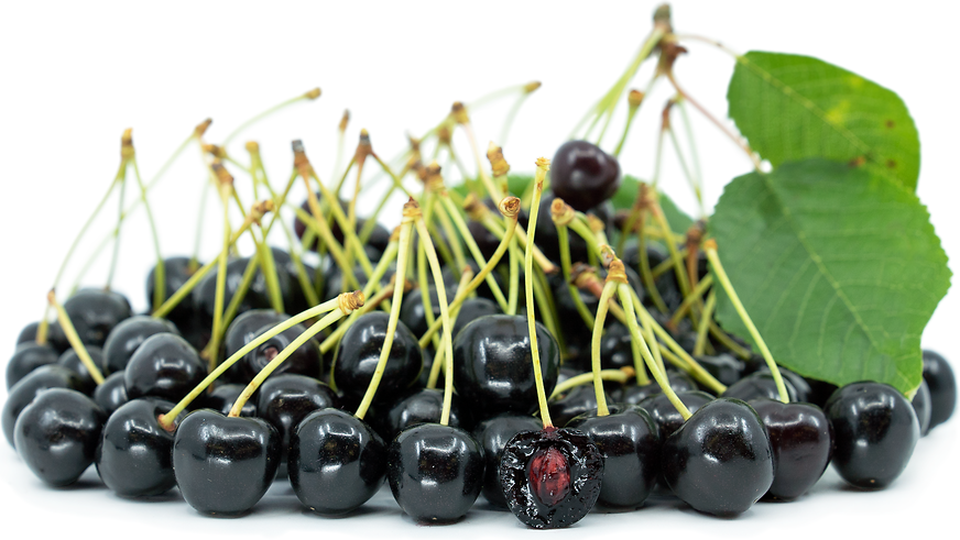 black cherries background