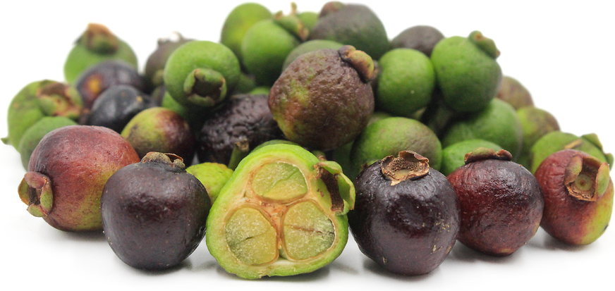 Arrayan Negro Fruits Information And Facts