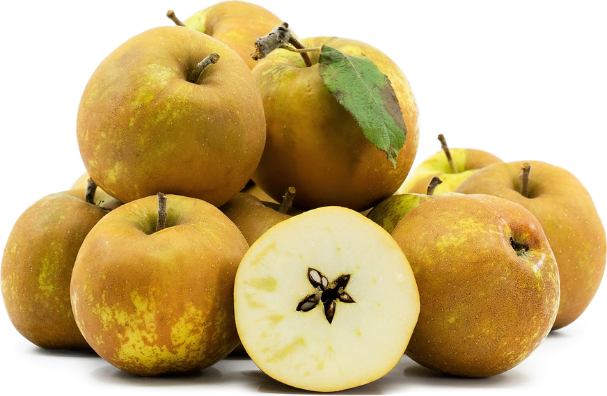 Fuji Vs Gala Apples: How Are They Different? - Tidbits Of Experience