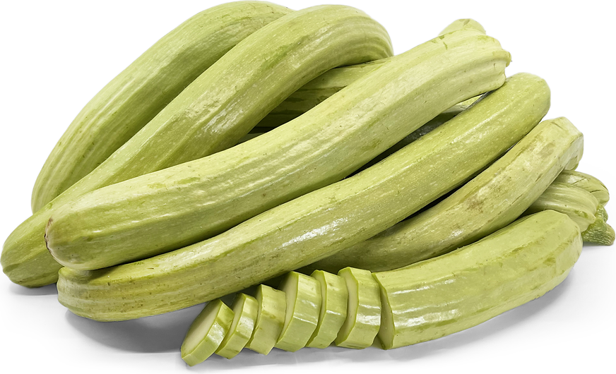 Ceylon Dried Organic Rare Asian White Wonder 50 Cucumber Seeds Fresh Garden