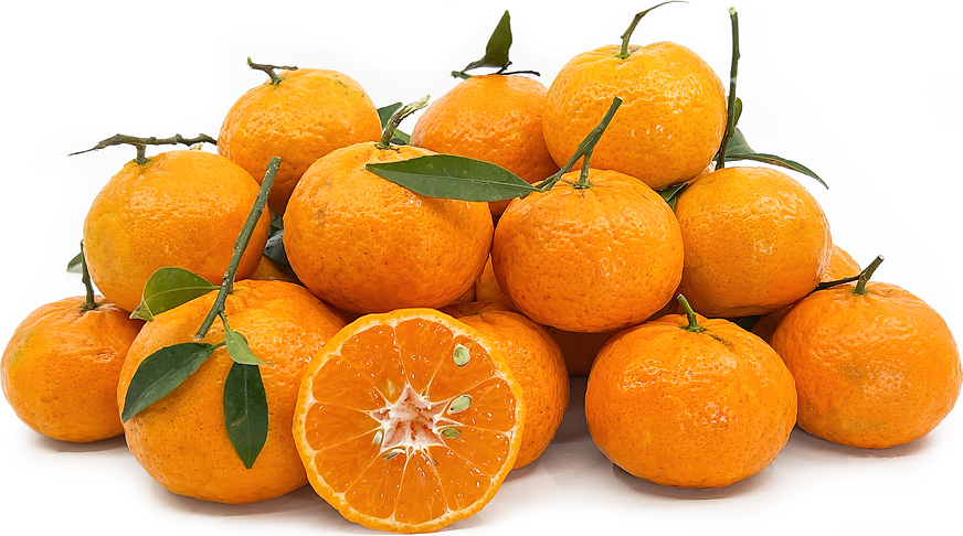 Mandarin, Tangerine & Clementine Market Summary - Produce Blue Book