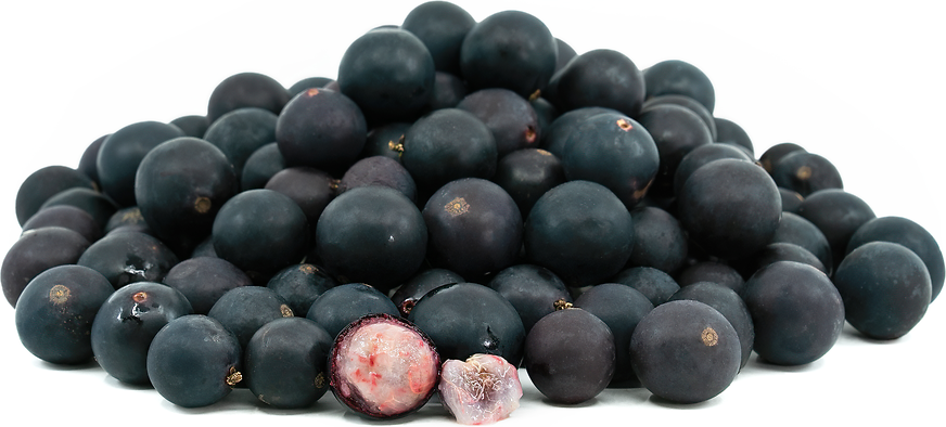 blue-grape-berries-information-and-facts