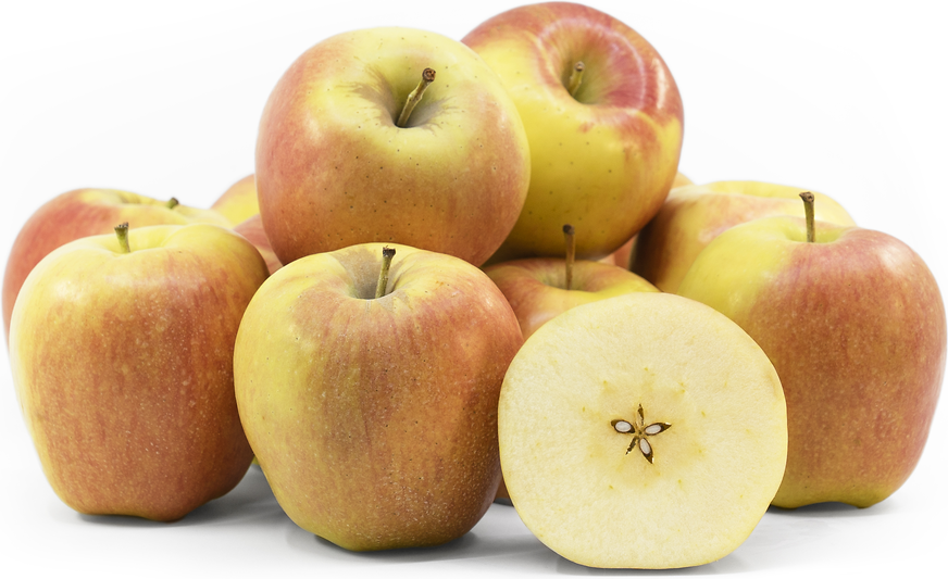 Ambrosia Apples Information, Recipes and Facts