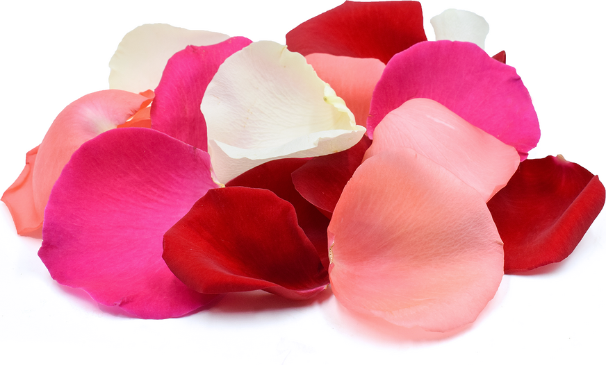 Rose Petal Flowers Information and Facts
