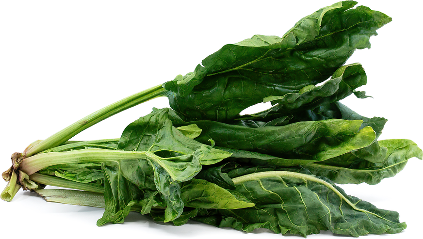Greek Sescoula-goula picture