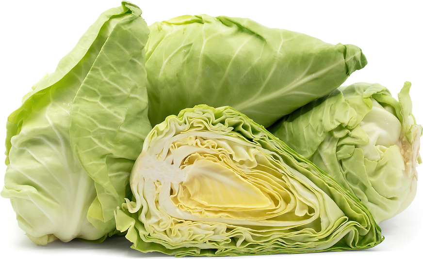 Cabbage Artisan Dew Drop picture