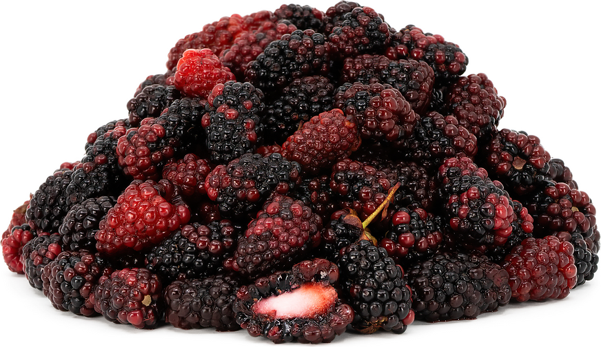 Andean Mora Berries picture