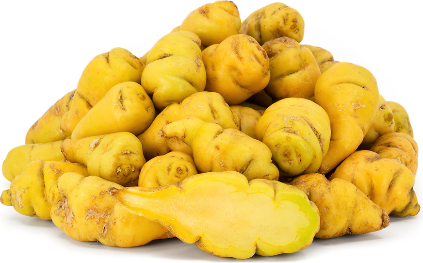 Yellow Cubios Tubers picture