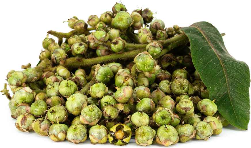 Dulumoco Fruit picture
