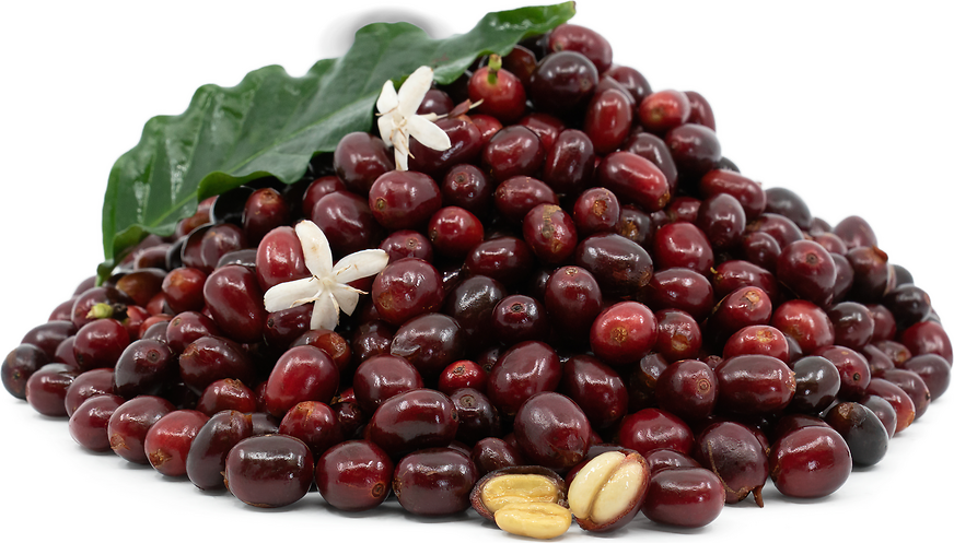 Geisha Coffee Berries picture