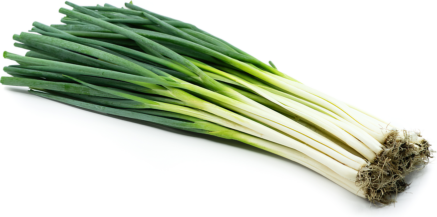 Sanxing Green Onions picture