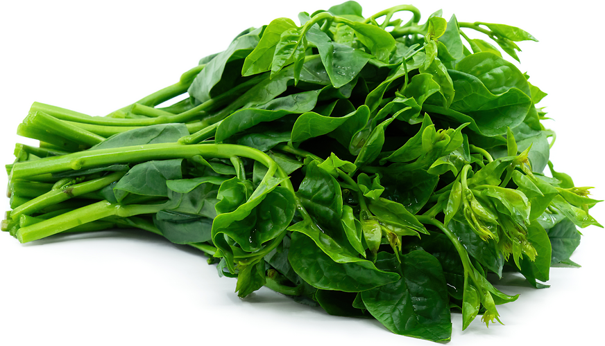 Palace Vegetable picture
