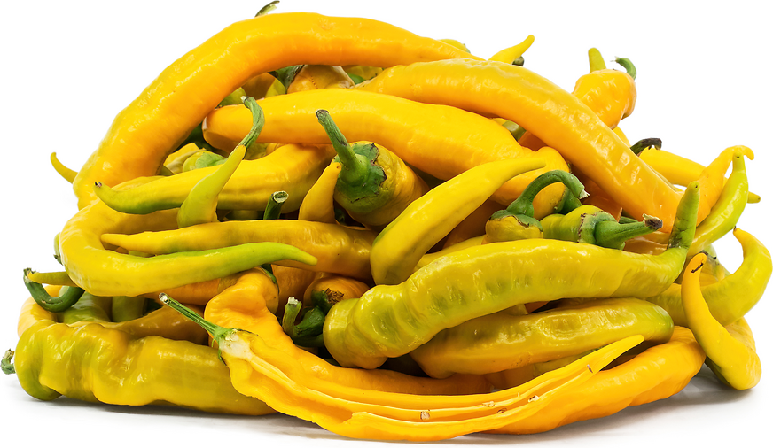Yellow Jimmy Nardello Chile Peppers picture