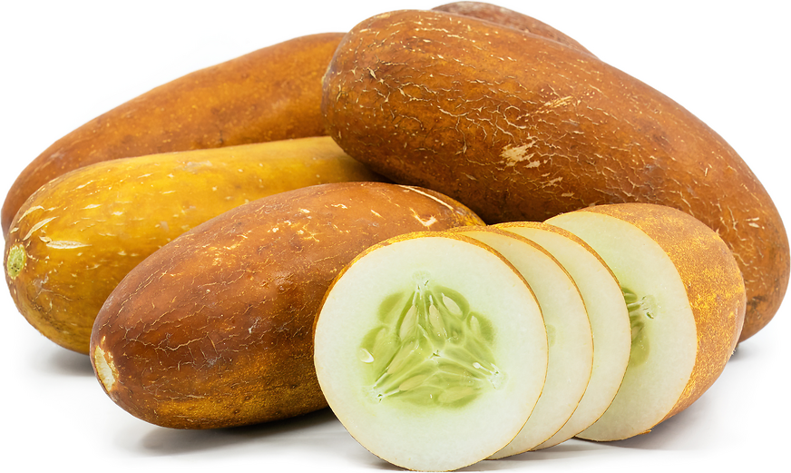 FM Cucumbers Brown Ukranian - Weiser Family Farms picture