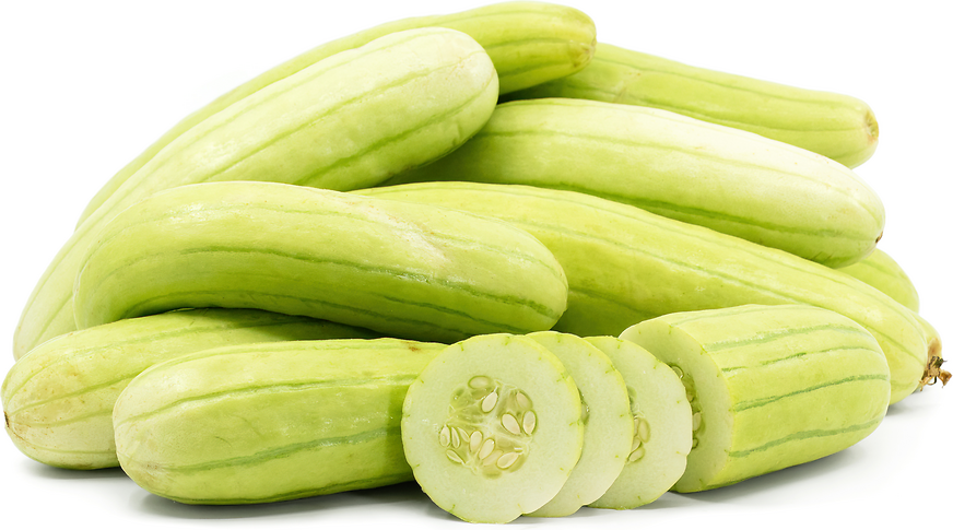 mexican White Cucumber picture