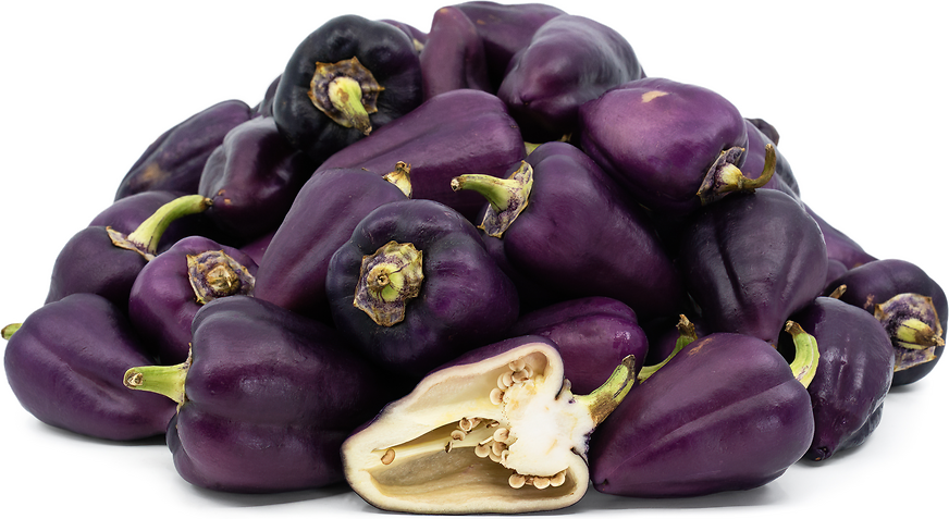 Violet Sparkle Chile Peppers picture