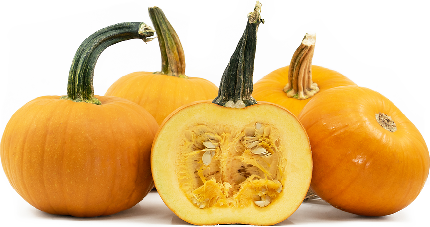 pie pumpkins varieties