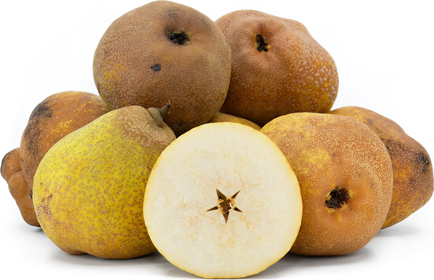 Colombian Pears picture