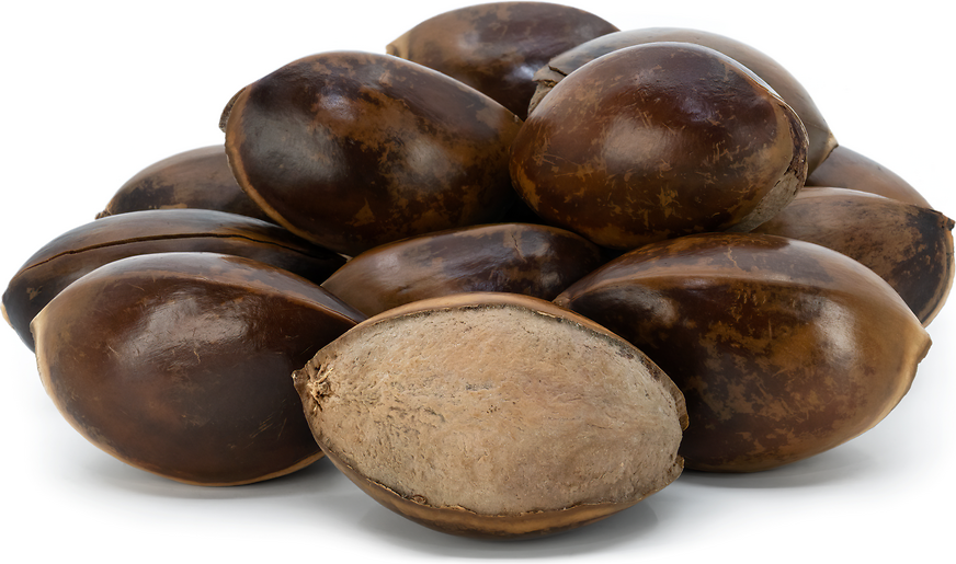 Mamey Sapote Seeds picture