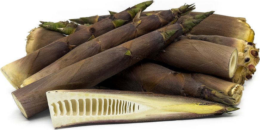 Hachiku Bamboo Shoots picture