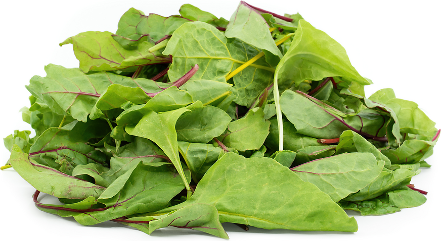 Baby Chard and Beet Greens Mix Clamshell picture