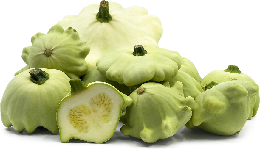 UFO Patty Pan Squash picture
