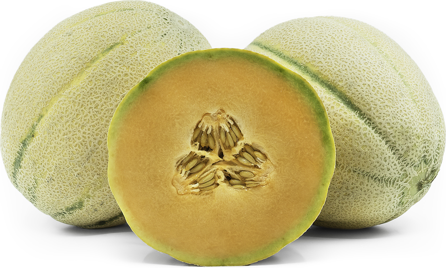 Tuscan Style Cantaloupe Melon Information Recipes And Facts