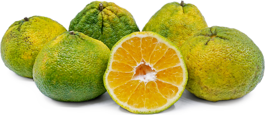 How Sumo Citrus made a little-known Japanese fruit a rising star