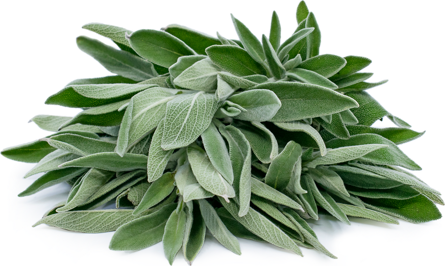 sage leaves for cleaning teeth