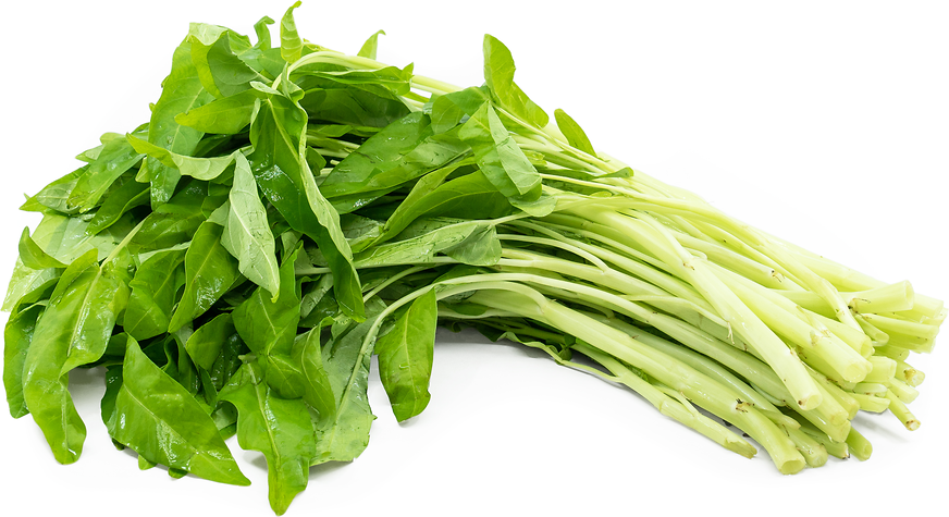 30pcs Water Spinach Kangkong River Spinach Garden Vegetable Green W3N4 