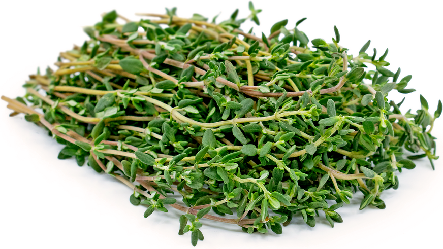 Thyme/ The Pahari Life