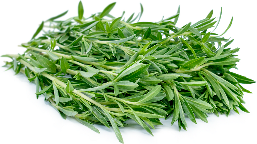 Savory Information And Facts