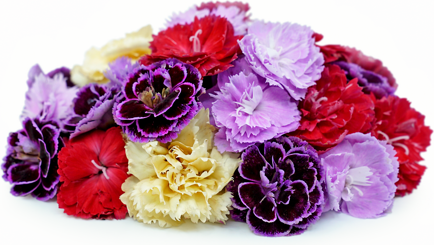 5 Sticks One Bunches Bouquet Of Artificial Silk Flower - Temu