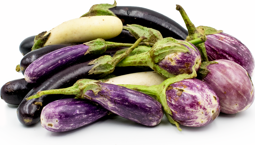 Baby Eggplant Information and Facts