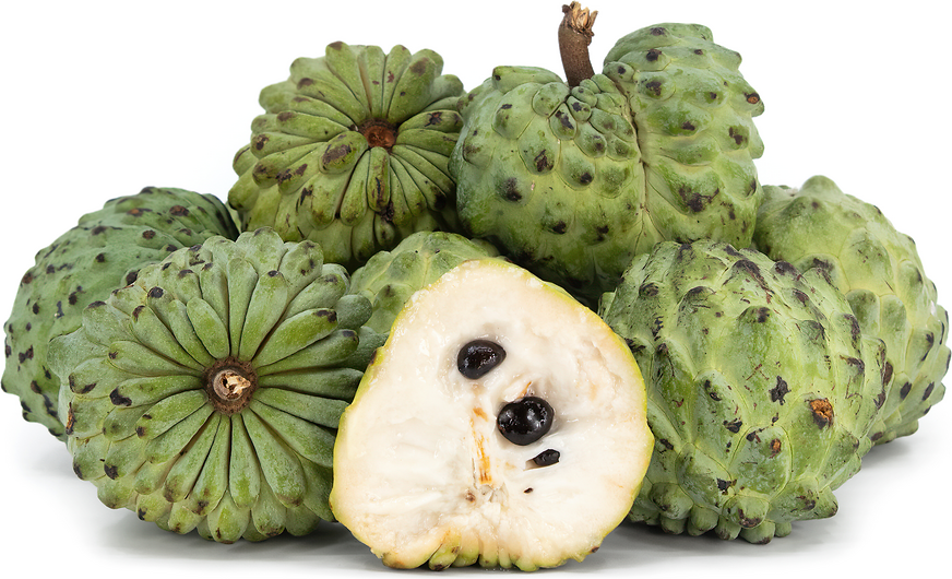 jamaican custard apple