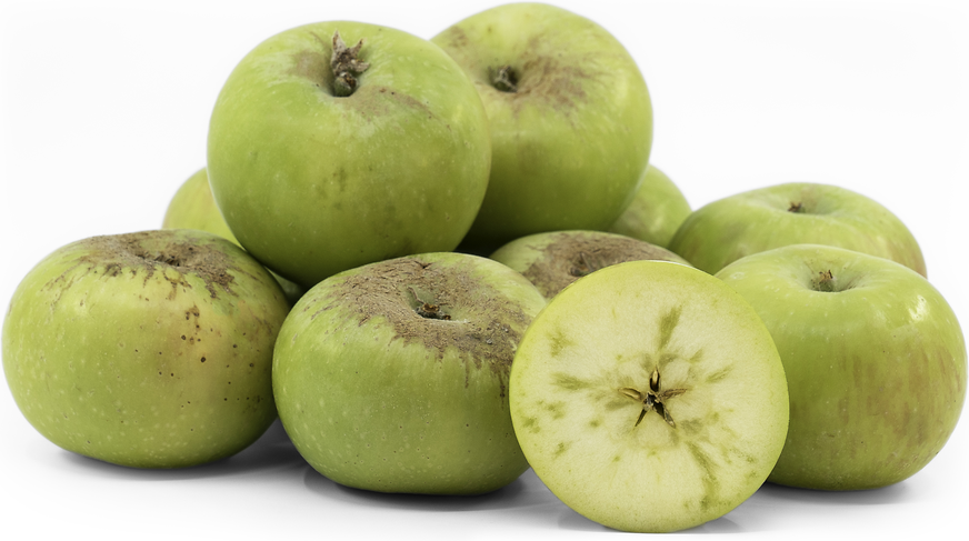 Monster Bramley Apple, about 2x the usual size. For scale in the background  is another mammoth apple and an unusually small Bramley, the size of a  normal apple. : r/AbsoluteUnits