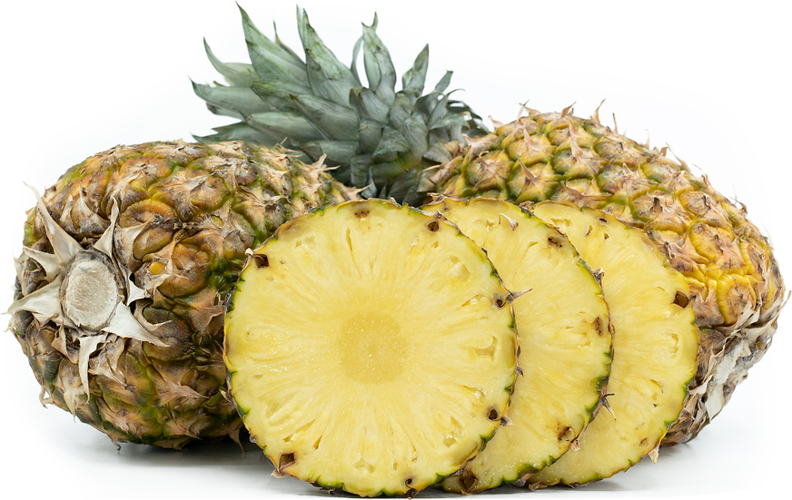 L'ananas  Cultures sucre