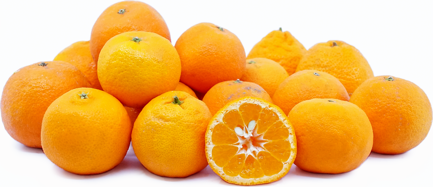 Clementine Tangerines Information, Recipes and Facts