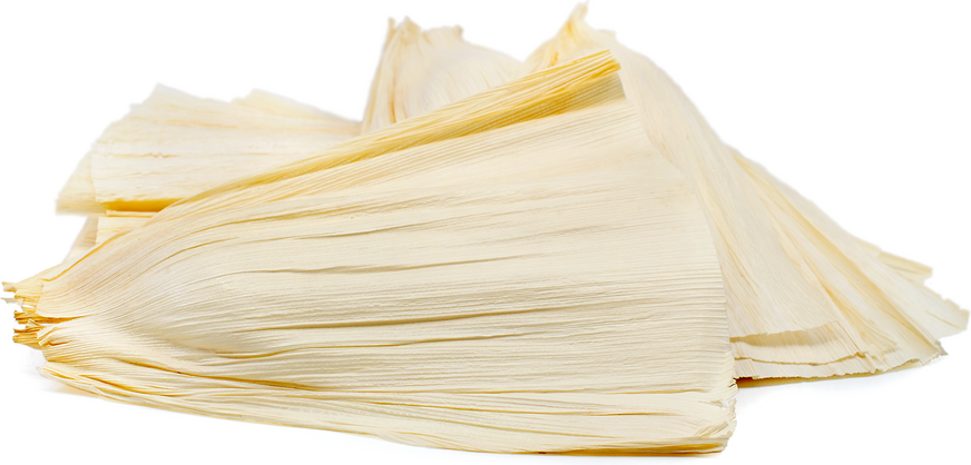 Corn Husk Information and Facts