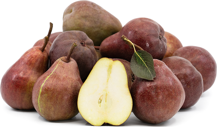 Decorative Bartlett Pears, Natural Look Fruit