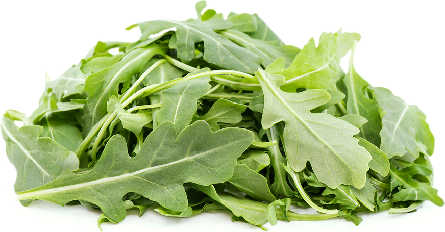 Roquette Rocky Wild Greens Seeds