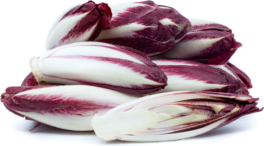 red-belgian-endive-information-recipes-and-facts