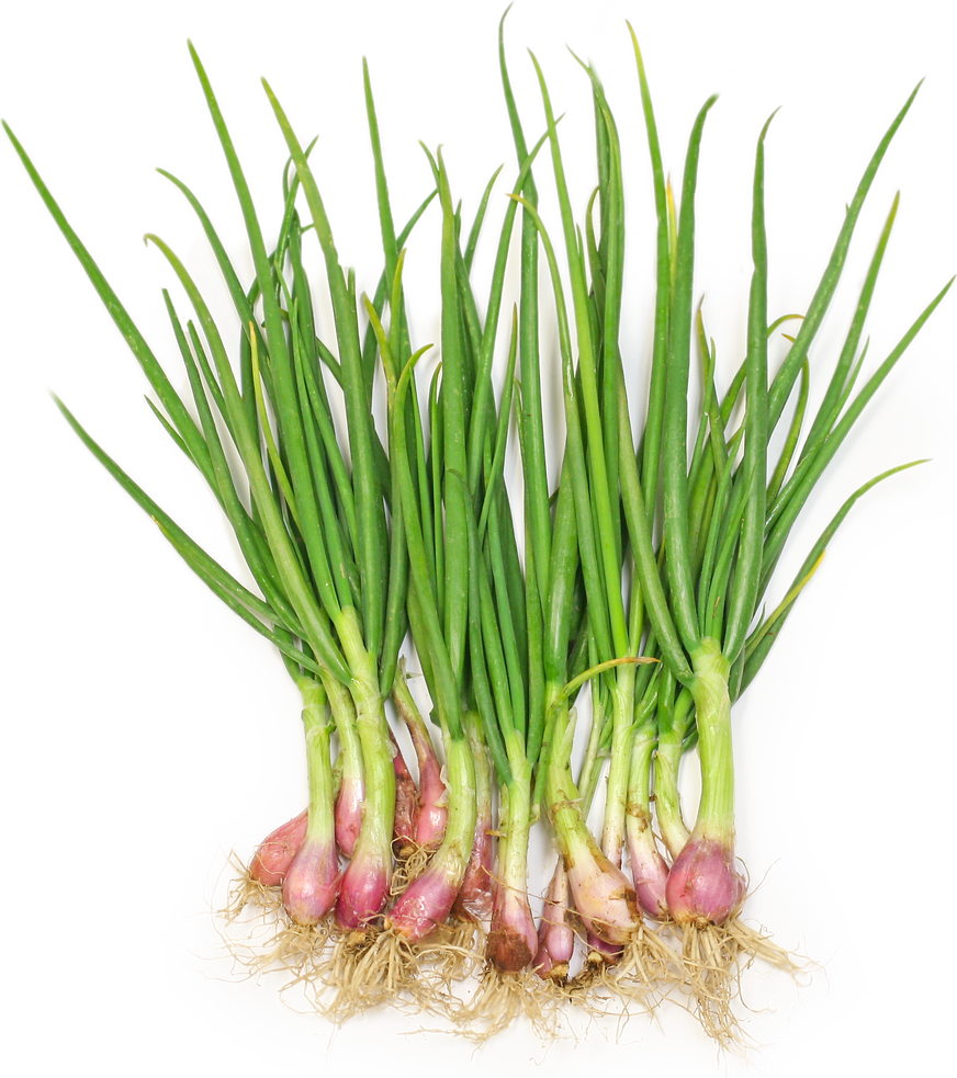 Green shallots