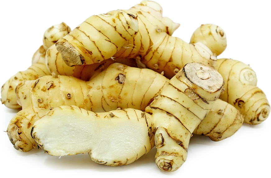 Galangal Root Information and Facts