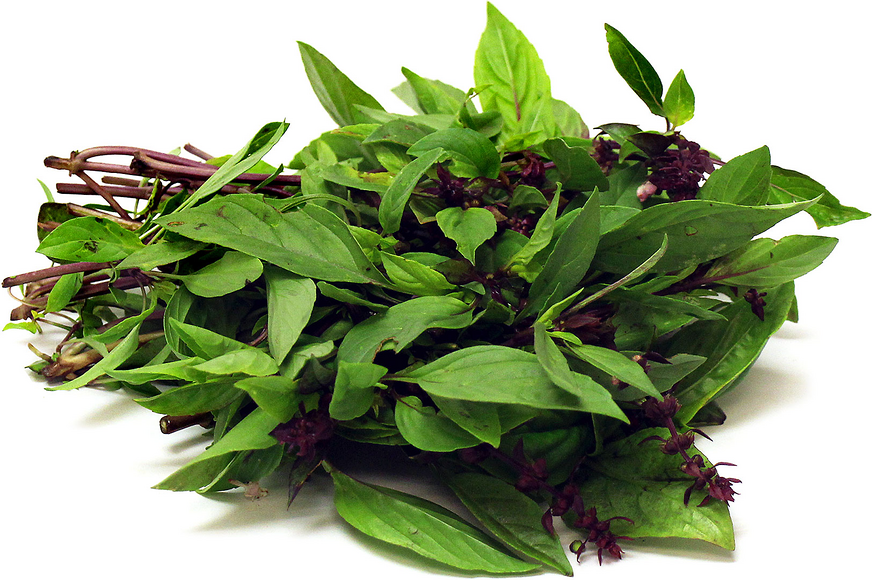 Thai Basil Alchetron The Free Social Encyclopedia