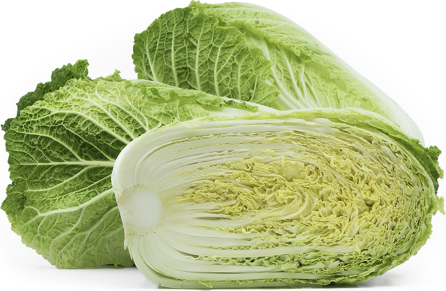 At the Immigrant's Table: shredded Napa cabbage salad