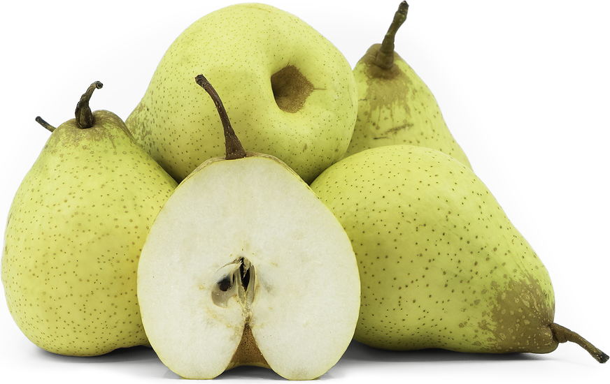 Foods that start with Y - Yali Pears