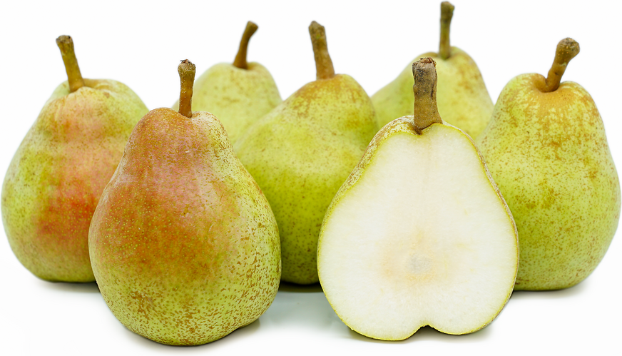  Artificial Yellow Bartlett Pear, Box of 12 : Home & Kitchen